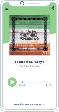 Mobil-optimierte Landingpage zum Hören der MP3 „Sounds of St. Paddy's Day“.